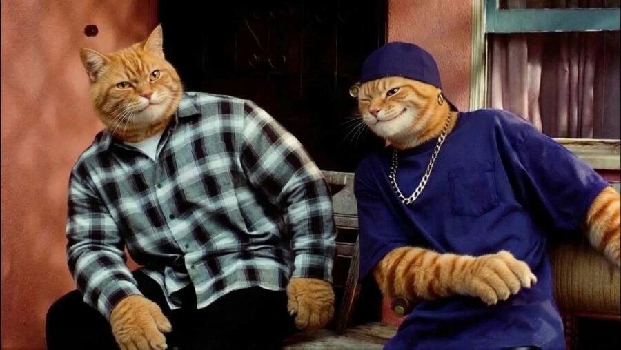 Two Buff Cats on a porch, one in flannel and one in a chain and cap