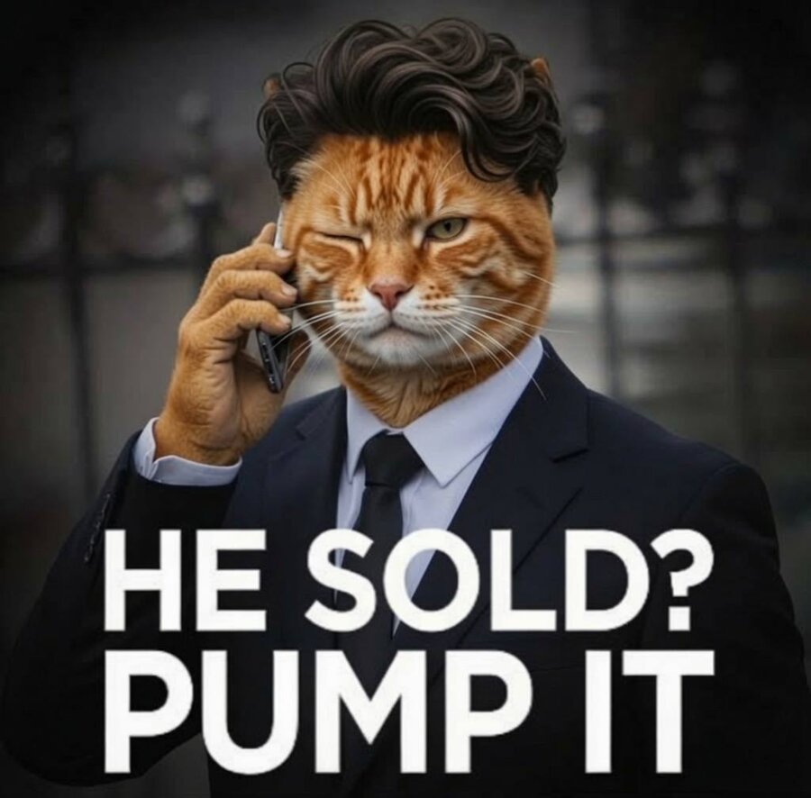 Buff Cat in a suit taking a phone call